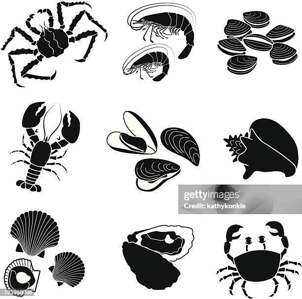 stockillustraties, clipart, cartoons en iconen met seafood crustaceans and mollusks - conch shell vector