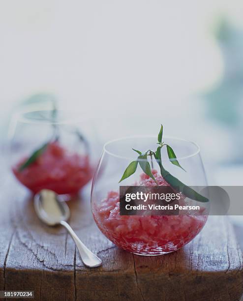 tomato and watermelon granita with hot chile peppe - sorbet fotografías e imágenes de stock