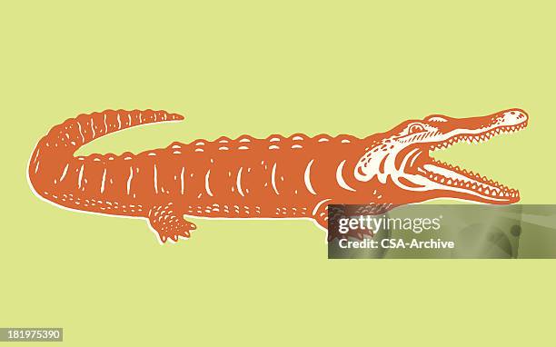 a cartoon image of an orange alligator on green background - aligator stock illustrations