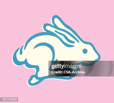 Running Rabbit High-Res Vector Graphic - Getty Images