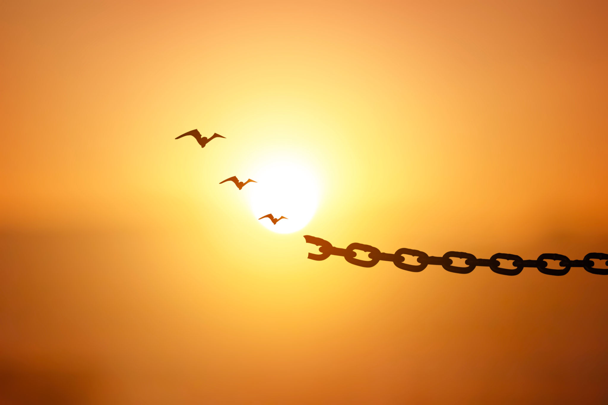 forgiveness
