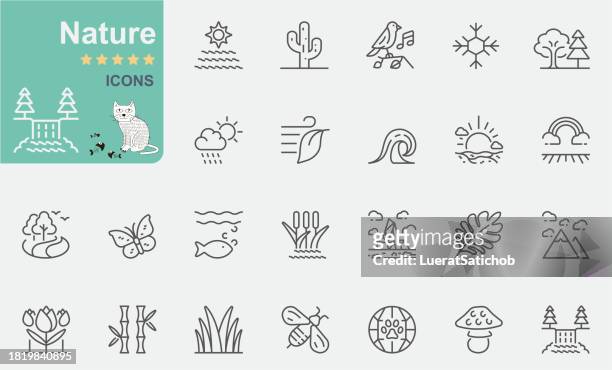 nature icon set. line icon collection - coastline icon stock illustrations