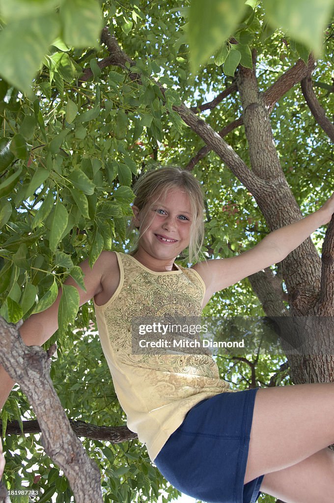 Young upside down in tree