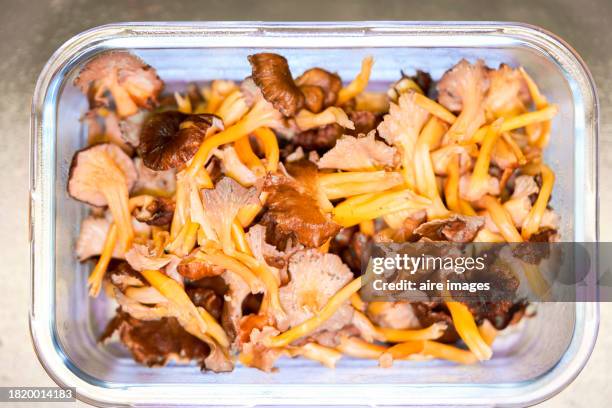 yellow foot mushrooms (cantharellus lutescens) selected and cleaned ready to cook - cantharellus tubaeformis stock pictures, royalty-free photos & images