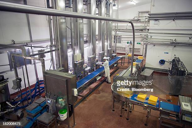 Blocks of Red Leicester cheese move along a conveyor belt ready for packaging at Wyke Farms Ltd., in Bruton, U.K., on Friday, Sept. 27, 2013. Wyke...