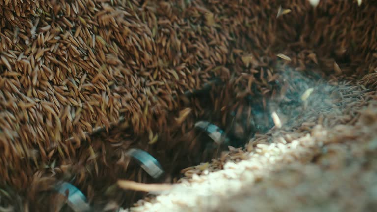 Food Rice Factory 14 Rice Threshing Factory Production Images Stock Videos, Footage, & 4K ...