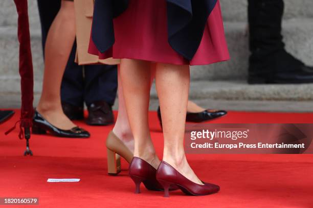 Detail of the shoes of Queen Letizia on her arrival at the Solemn Opening Session of the General Courts of the XV Legislature, at the Congress of...