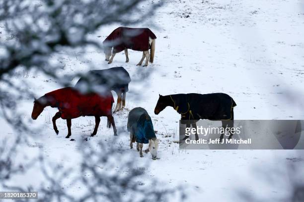 Horses are seen in a snow covered field on November 29, 2023 in Ballater Scotland. On Tuesday, the Met Office issued a warning for snow and ice from...