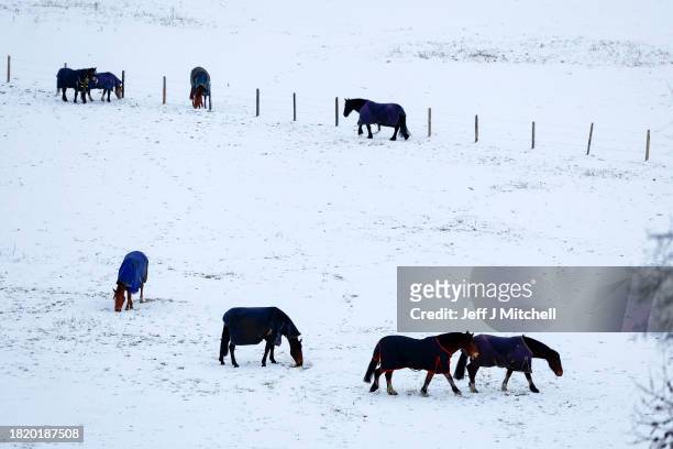 Horses are seen in a snow covered field on November 29, 2023 in Ballater Scotland. On Tuesday, the Met Office issued a warning for snow and ice from...