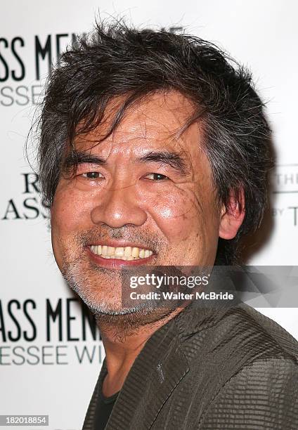 David Henry-Hwang attends the Broadway Opening Night Performance of 'The Glass Menagerie' at Booth Theater on September 26, 2013 in New York City.
