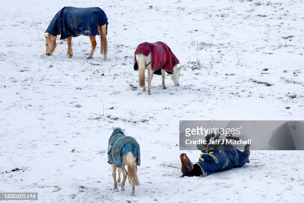 Horse is seen rolling in the snow on November 29, 2023 in Ballater Scotland. On Tuesday, the Met Office issued a warning for snow and ice from 5pm...