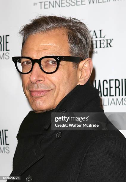 Jeff Goldblum attends the Broadway Opening Night Performance of 'The Glass Menagerie' at Booth Theater on September 26, 2013 in New York City.