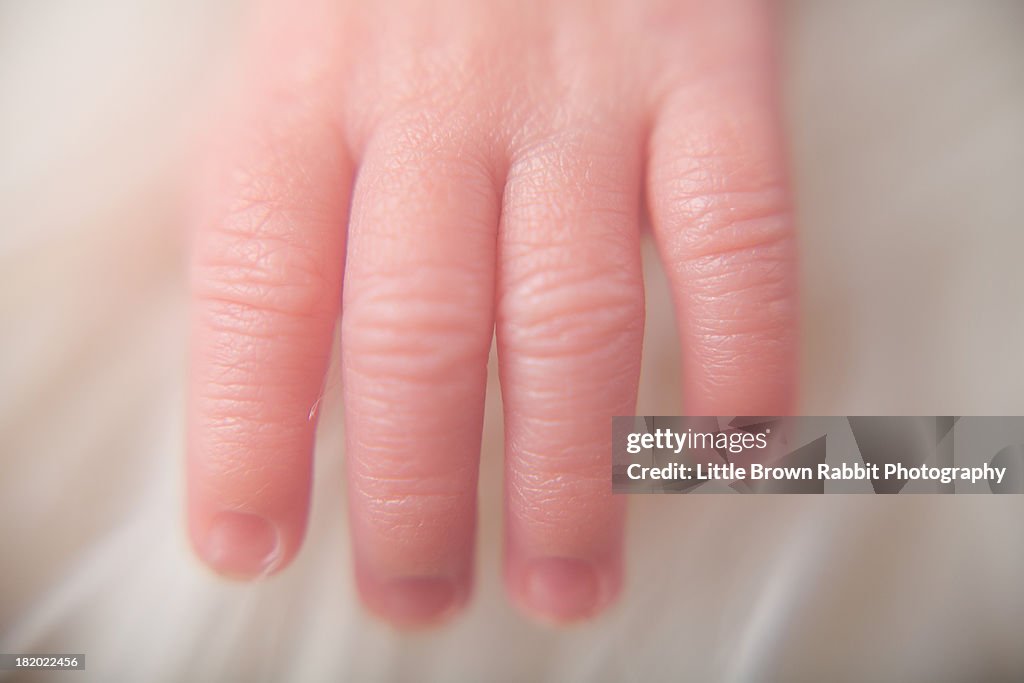 Baby Fingers