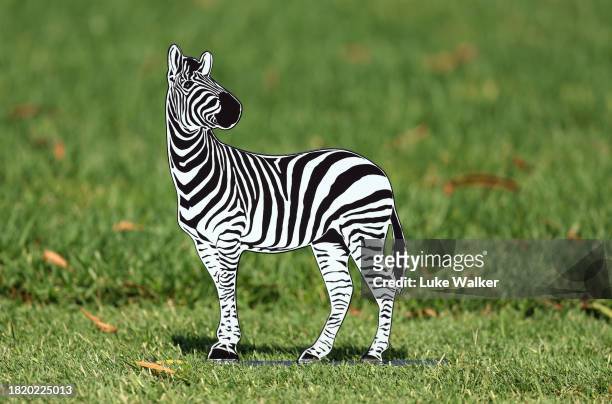 View of a tee marker prior to the Investec South African Open Championship at Blair Atholl Golf & Equestrian Estate on November 29, 2023 in...
