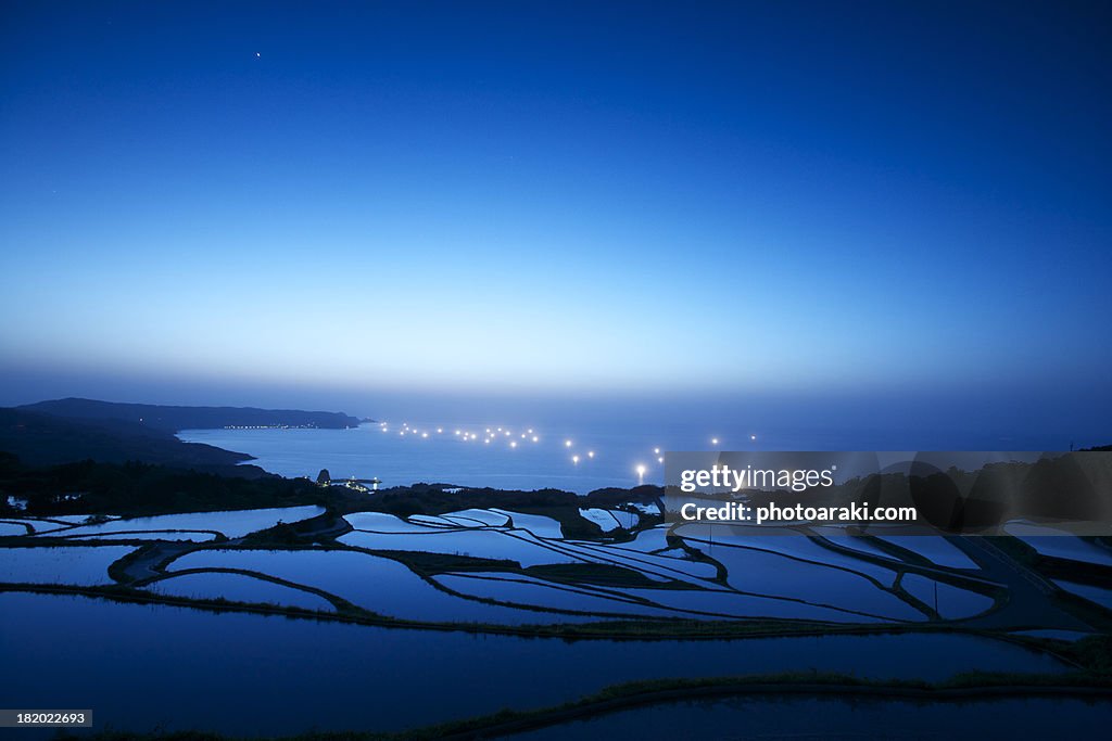 Sea and rice field