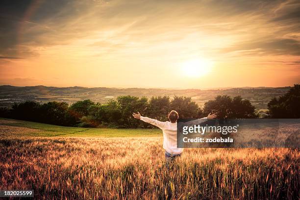 free man with open arms in wheat field at sunset - inviting gesture stockfoto's en -beelden