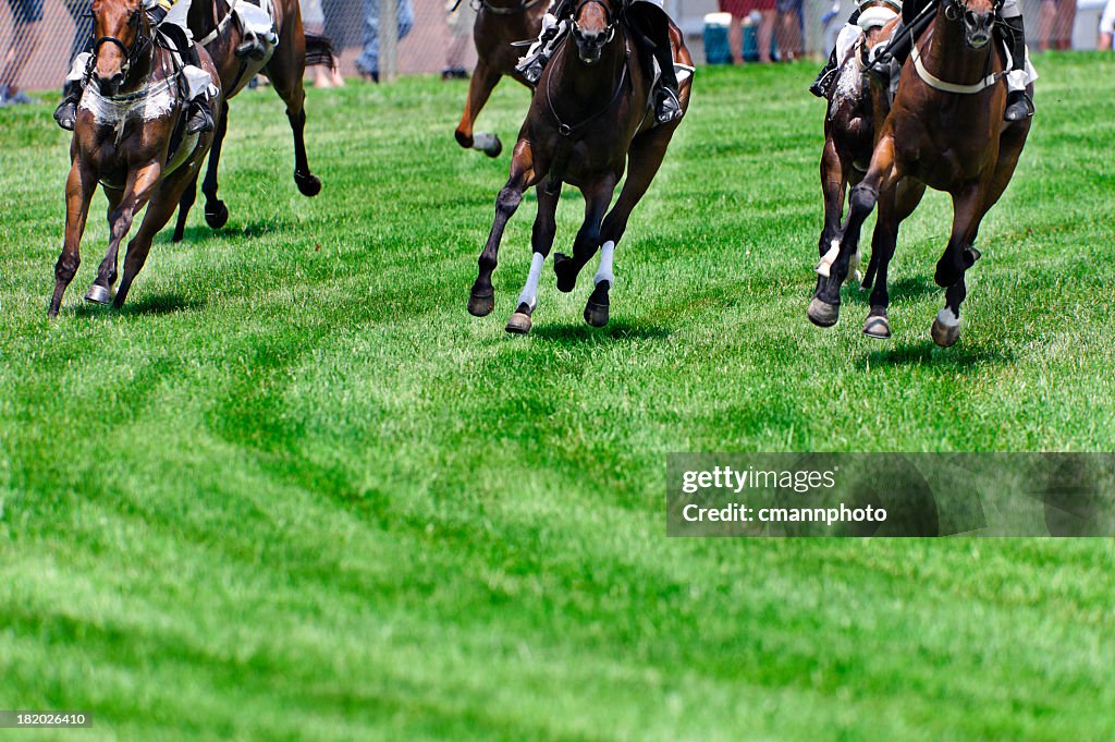 Head On Horse Racing on turf as they round a corner