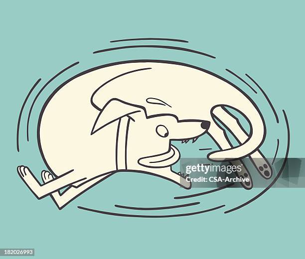 illustrations, cliparts, dessins animés et icônes de chien poursuivre sa queue - course poursuite