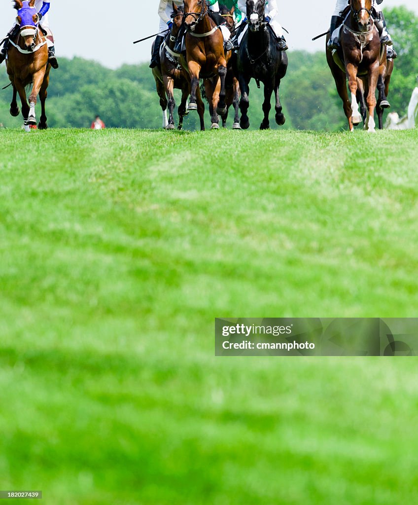 Head-On Horse Racing on turf