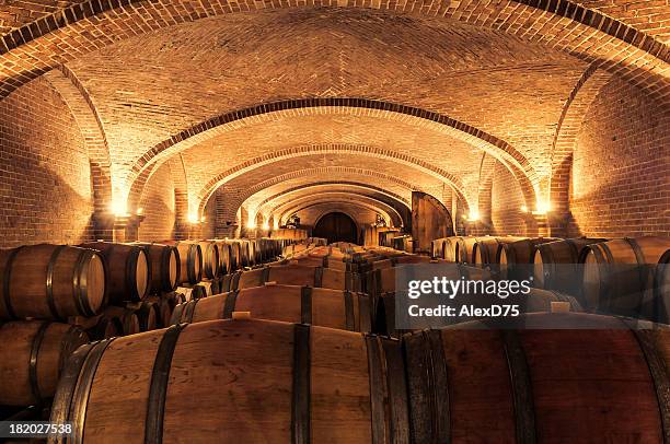 wine cellar - winery stockfoto's en -beelden