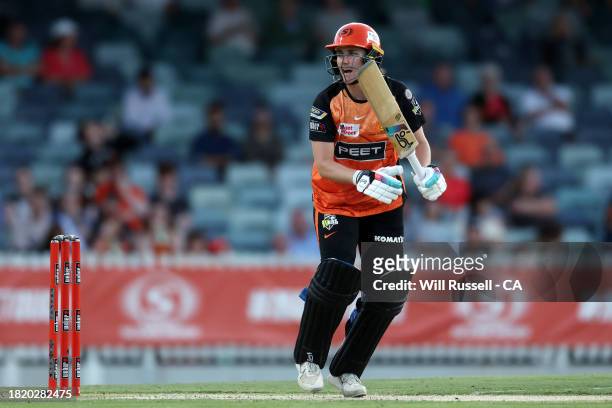 Nat Sciver-Brunt of the Scorchers calls no run during The Challenger WBBL finals match between Perth Scorchers and Brisbane Heat at WACA, on November...