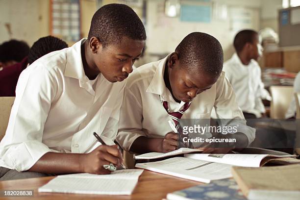 portrait of two south african boys studying in rural classroom - schooluniform stockfoto's en -beelden