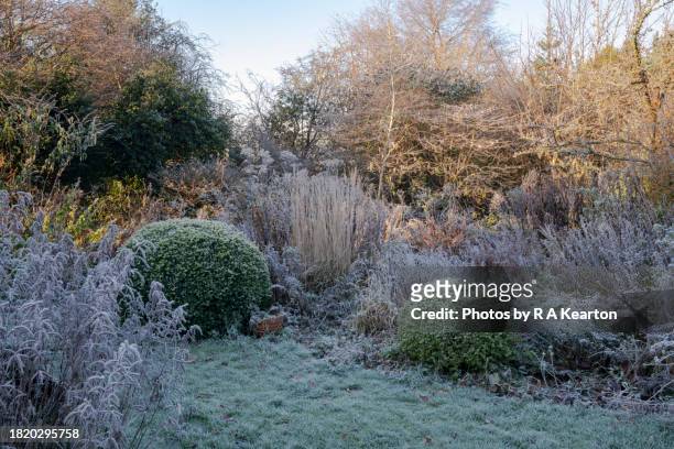 an english country garden in winter - flower bed stock pictures, royalty-free photos & images