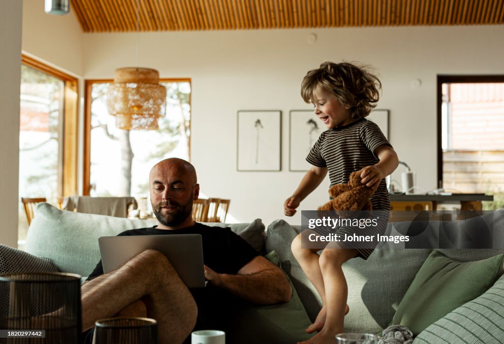 Mature male freelancer working over laptop while his son jumps on sofa and enjoys himself at home