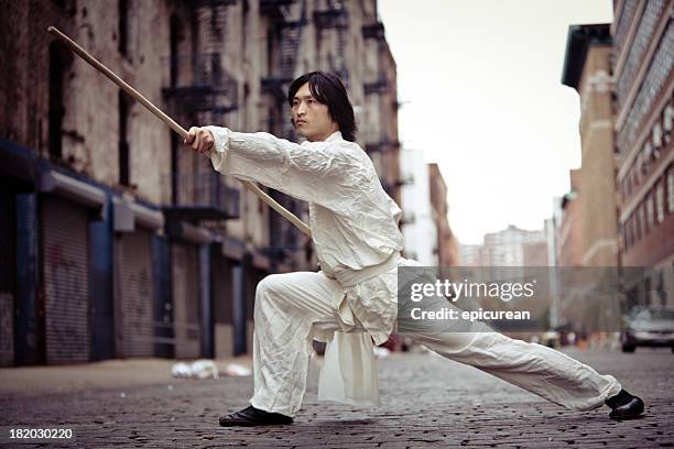 artista marcial kung fu formação em um beco - kung fu imagens e fotografias de stock