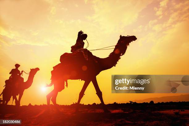 caravana de camellos en el desierto silueta al atardecer - camel active fotografías e imágenes de stock