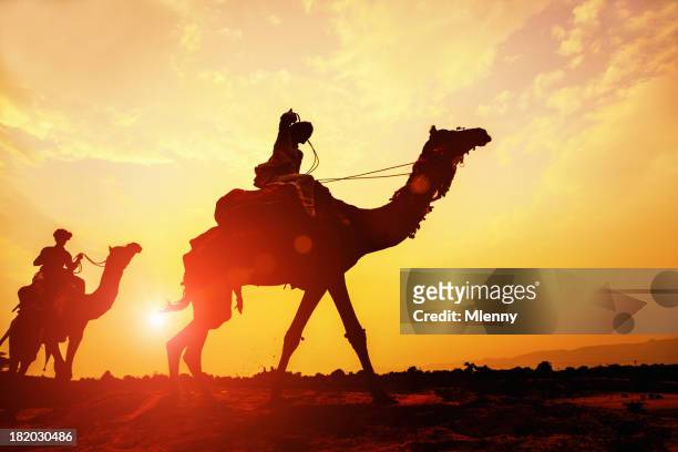 desert camel caravan silhouette at sunset - dromedary camel bildbanksfoton och bilder