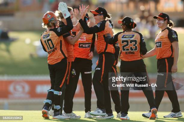 Amy Edgar of the Scorchers celebrates after taking the wicket of Amelia Kerr of the Heat during The Challenger WBBL finals match between Perth...