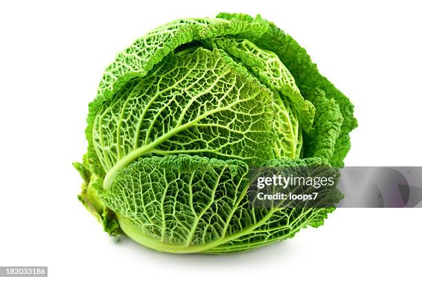 cabbage - kål bildbanksfoton och bilder