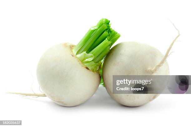 white radishes - daikon stockfoto's en -beelden