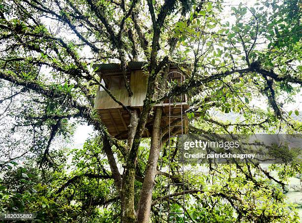 tree house - spielzeughaus stock-fotos und bilder