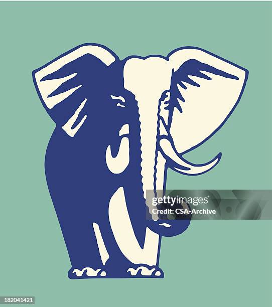 elephant - stoßzahn stock-grafiken, -clipart, -cartoons und -symbole