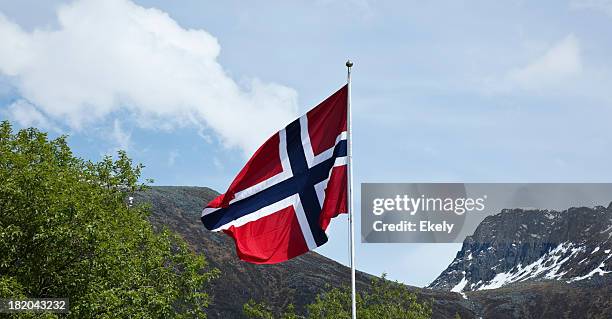 norwegian flag. - norway flag stock pictures, royalty-free photos & images