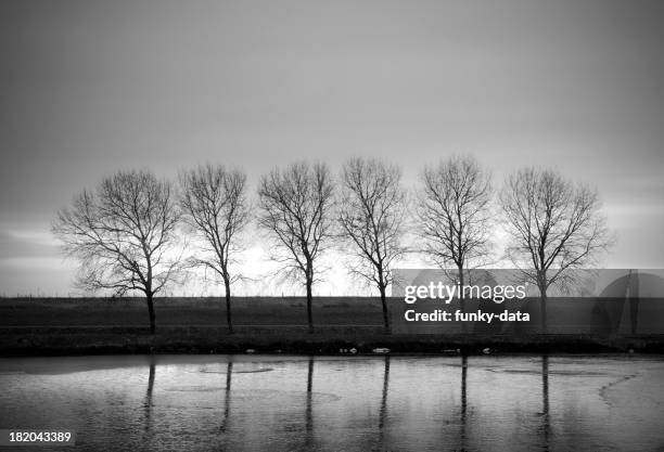winter segment - desaturated stock pictures, royalty-free photos & images