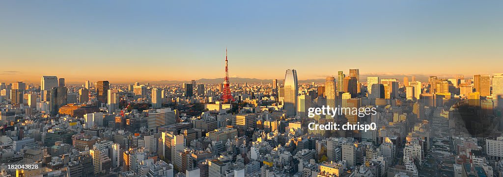 Aerial Panoramic View of Tokyo at Sunrise (XXXL)