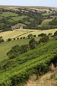 Welsh countryside portrait