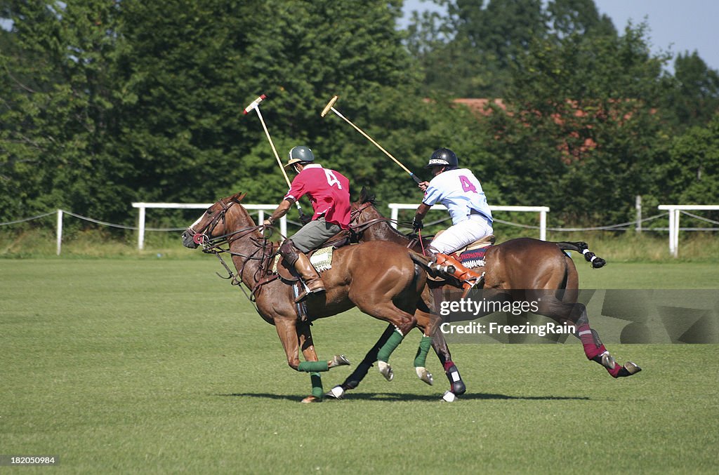 Two polo player