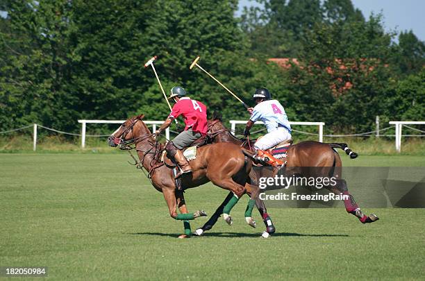 two polo player - polo field stock pictures, royalty-free photos & images