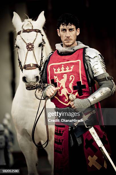 knight with white stallion - equestrian royal horses stock pictures, royalty-free photos & images