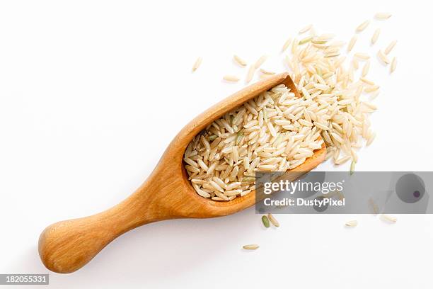 brown arroz de grão longo - arroz integral imagens e fotografias de stock
