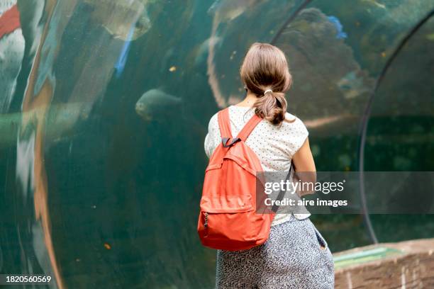 female tourist standing in casual clothes and backpack at an aquarium watching piranhas swim, rear view - madrid zoo aquarium stock pictures, royalty-free photos & images