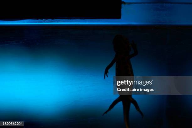 side view of the silhouette of a salamander swimming underwater in a dark place in the aquarium. - madrid zoo aquarium stock pictures, royalty-free photos & images