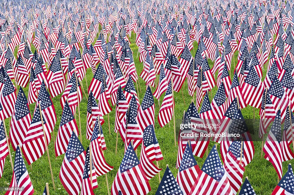 United States Flags