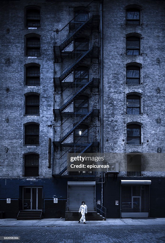 カンフー・ウォリアートレーニングのアレイ