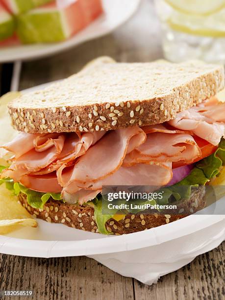 ham and cheese sandwich at a picnic - deli sandwich stockfoto's en -beelden