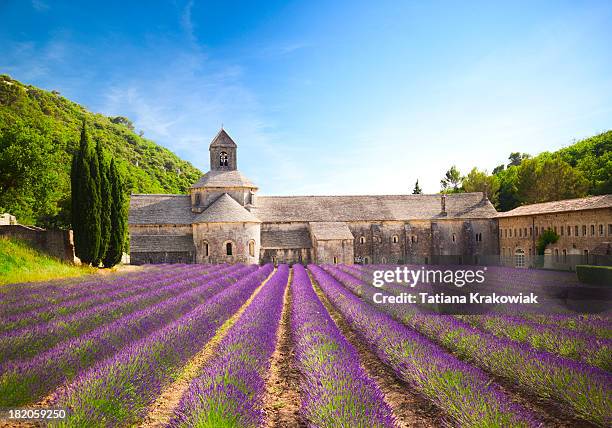 senanque abbey (provence, francia) - lavender color fotografías e imágenes de stock